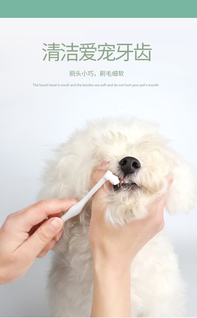 Pet toothpaste and toothbrush set for cats and dogs