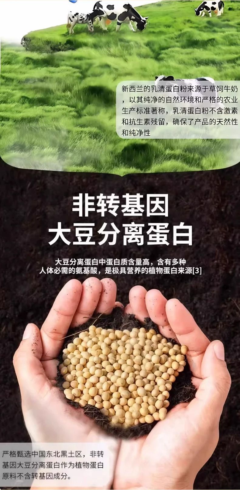 Nanjing Tongren Tang Molkenproteinpulver, hochkalziumhaltig, 1kg