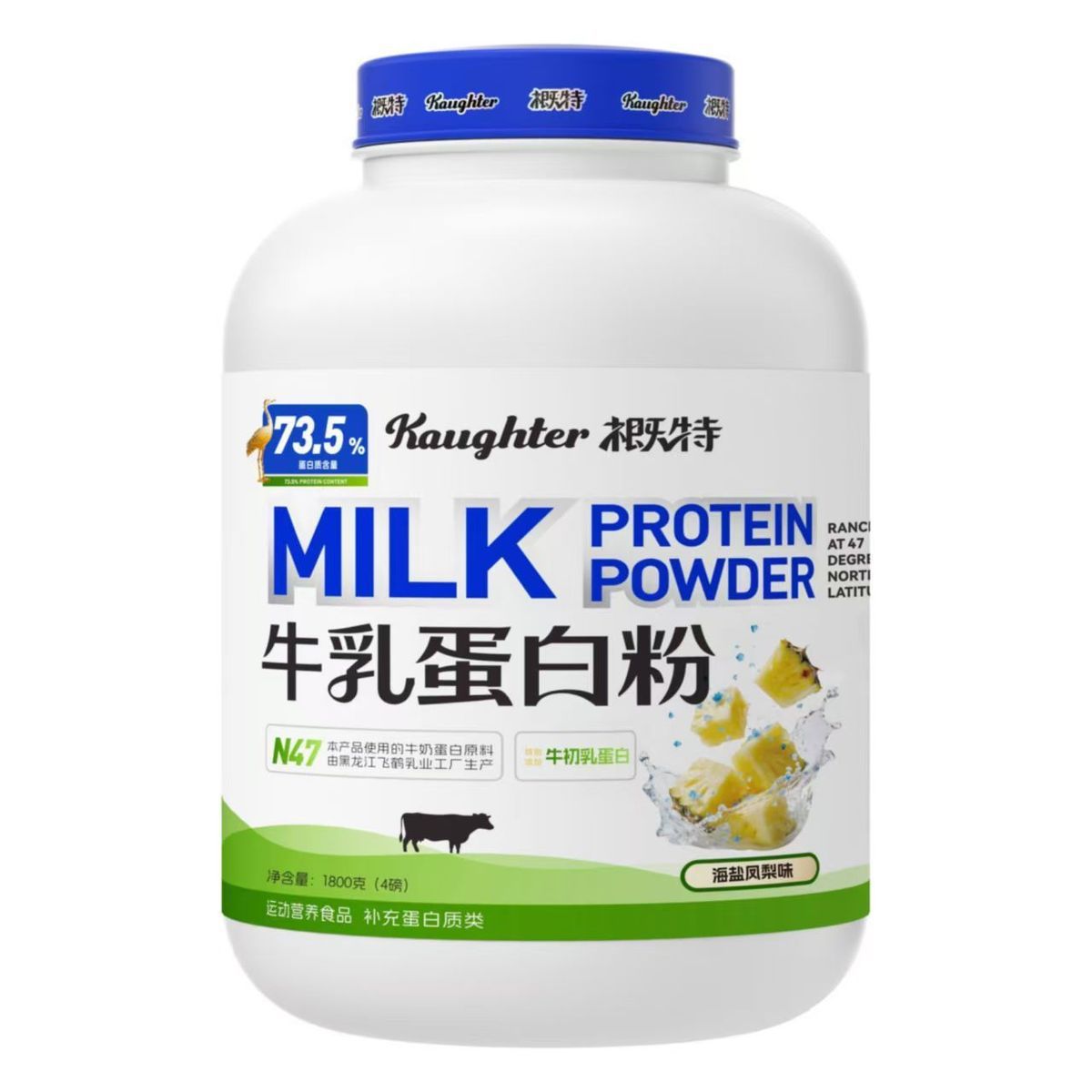 Gaote peynir altı suyu protein tozu 4 pound