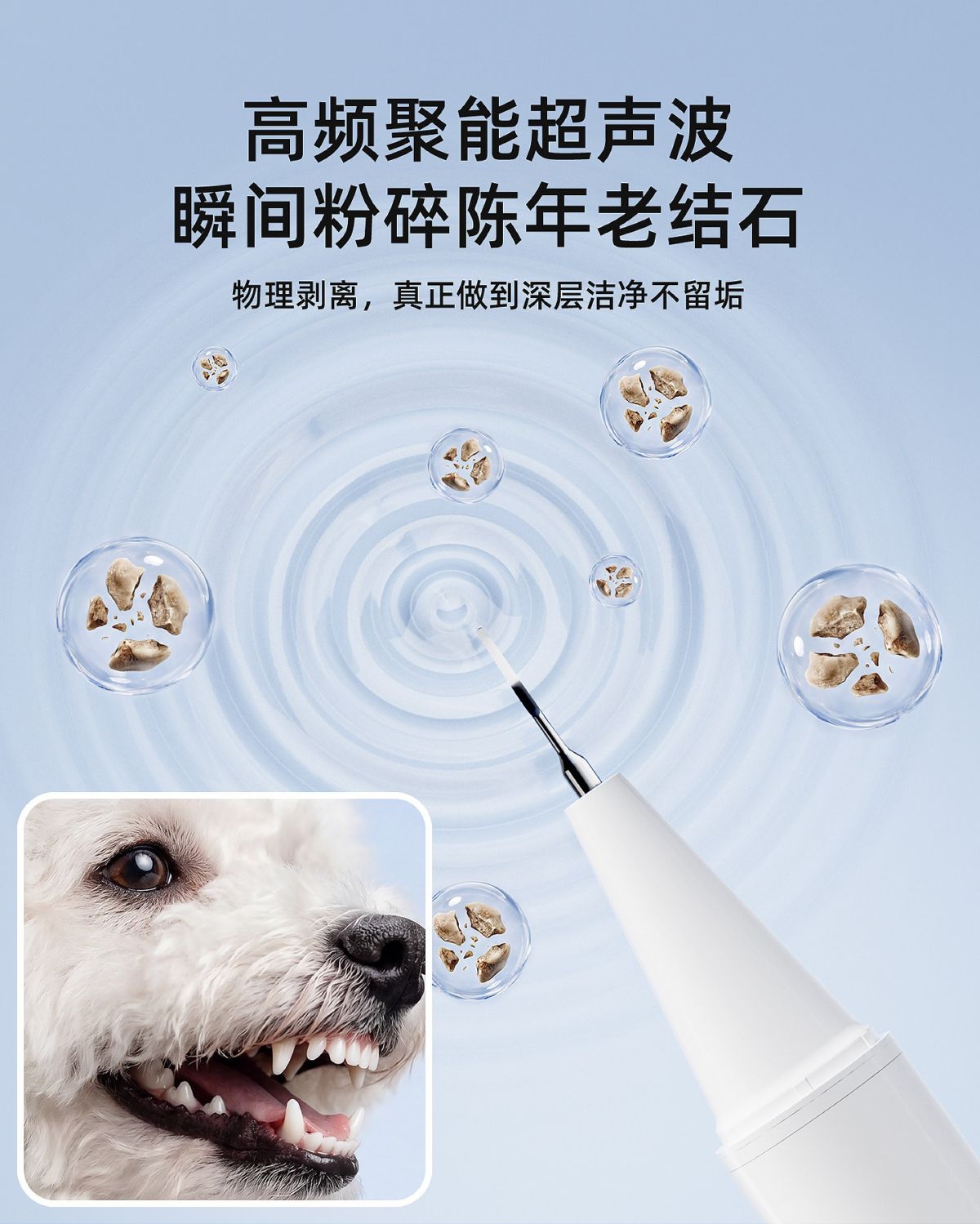 LED ultrasonic dog teeth cleaner for senior and small dogs