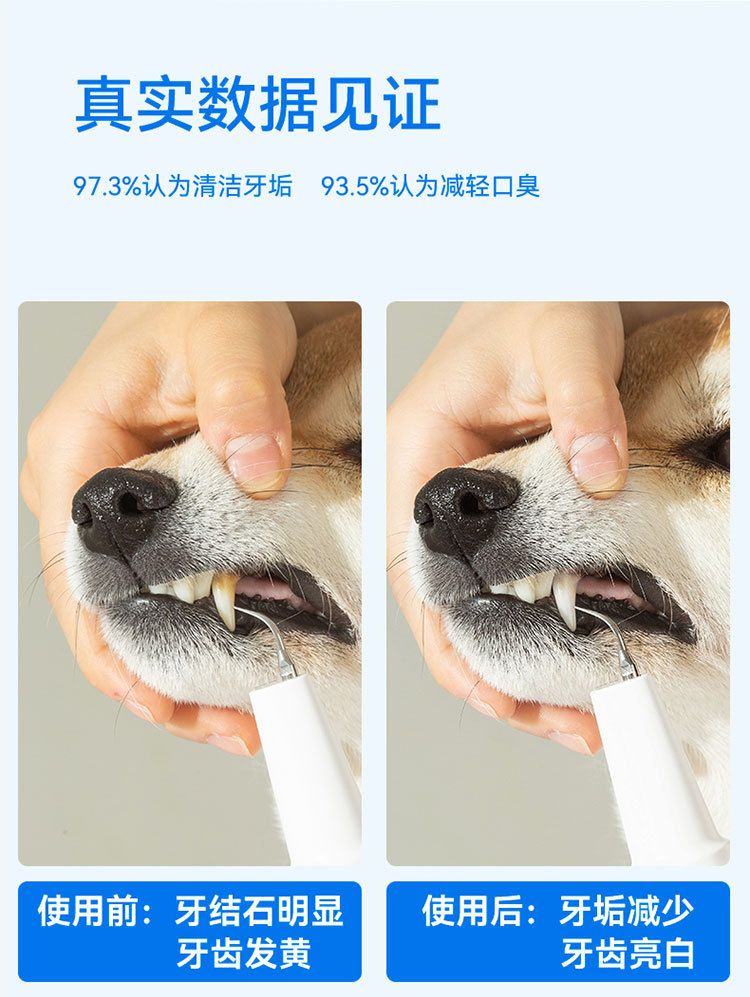 Pet electric toothbrush, dental cleaner and polisher