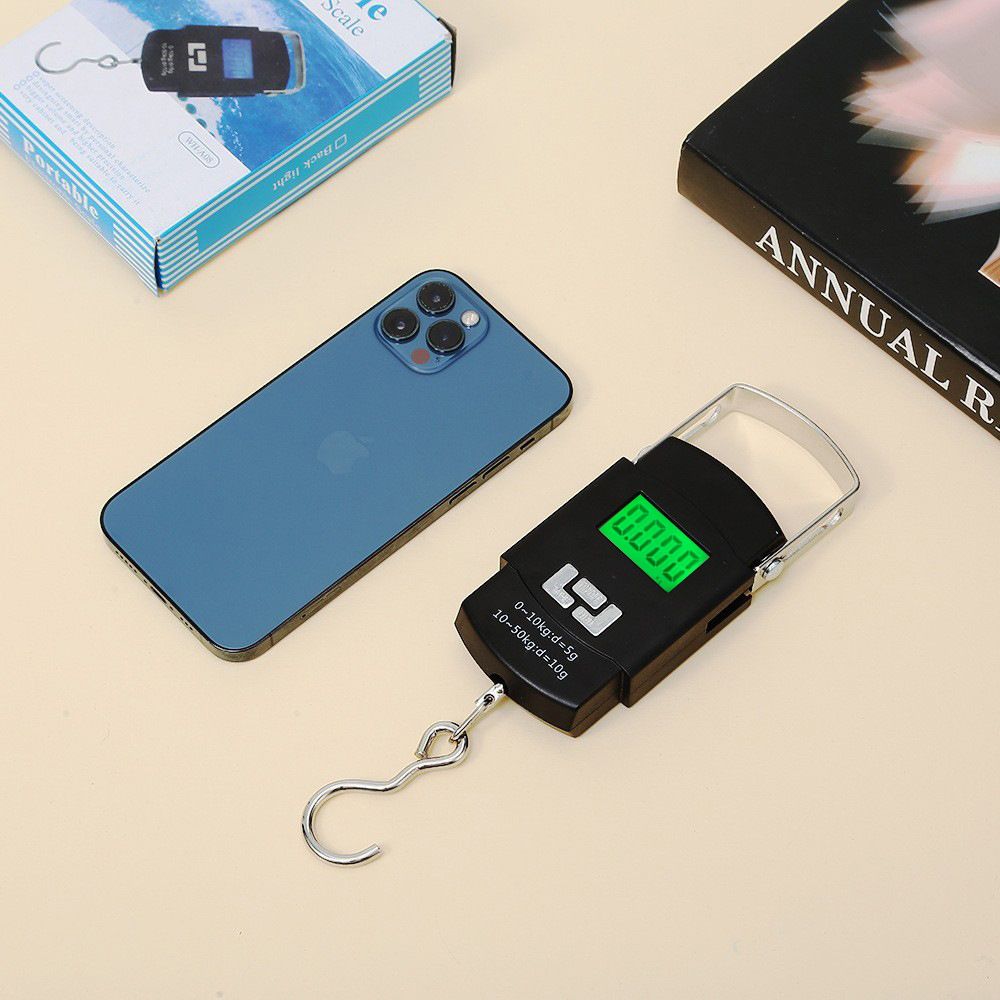 Portable electronic scale 50kg with hook