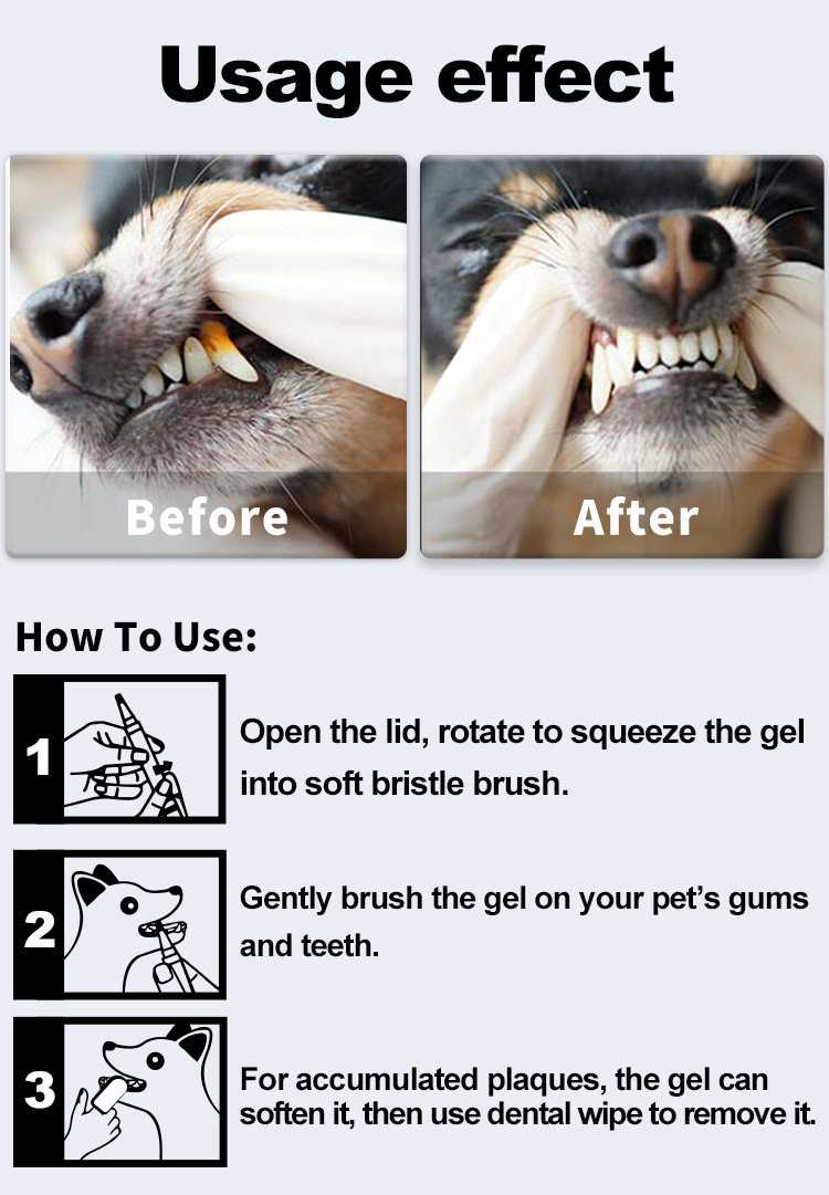 Pet Teeth Cleaning Pen, Universal