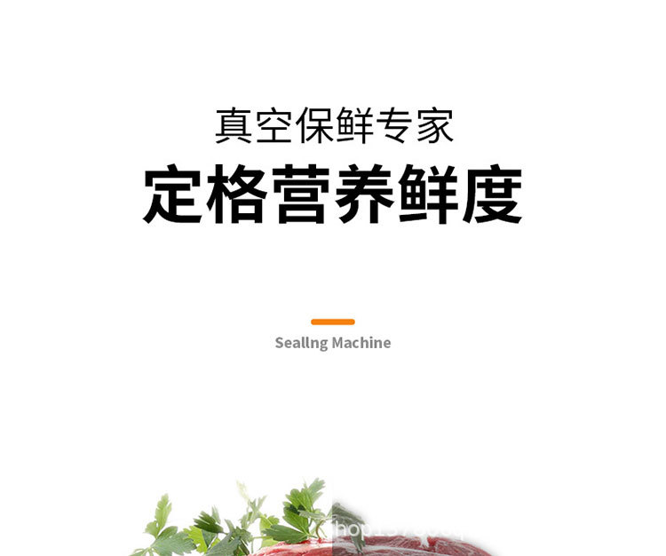 Household vacuum sealer machine, fully automatic