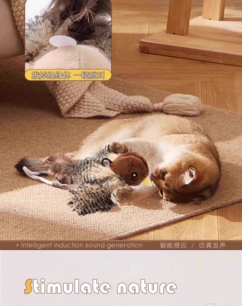 Katzenspielzeug mit quietschenden Vögeln und Mäusen