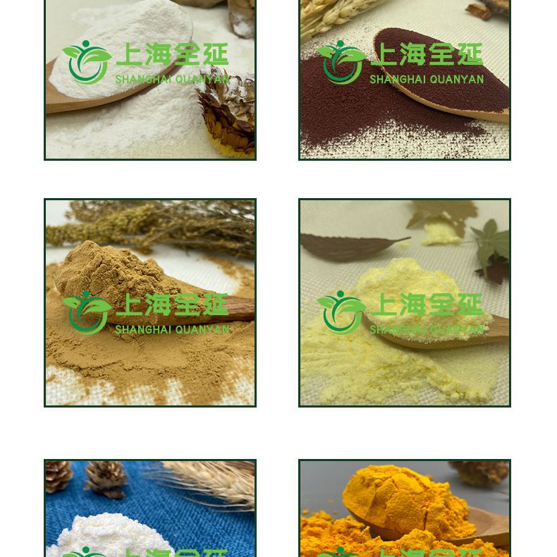 大米蛋白粉食品用原料大米提取物植物蛋白粉饲料用