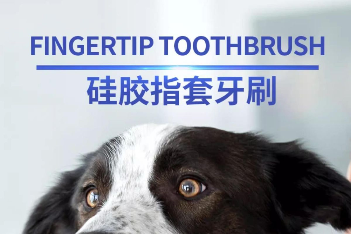 Pet Toothbrush Finger Brush and Toothpaste Set