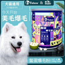 Dog and cat toothbrush set with toothpaste, tartar cleaning