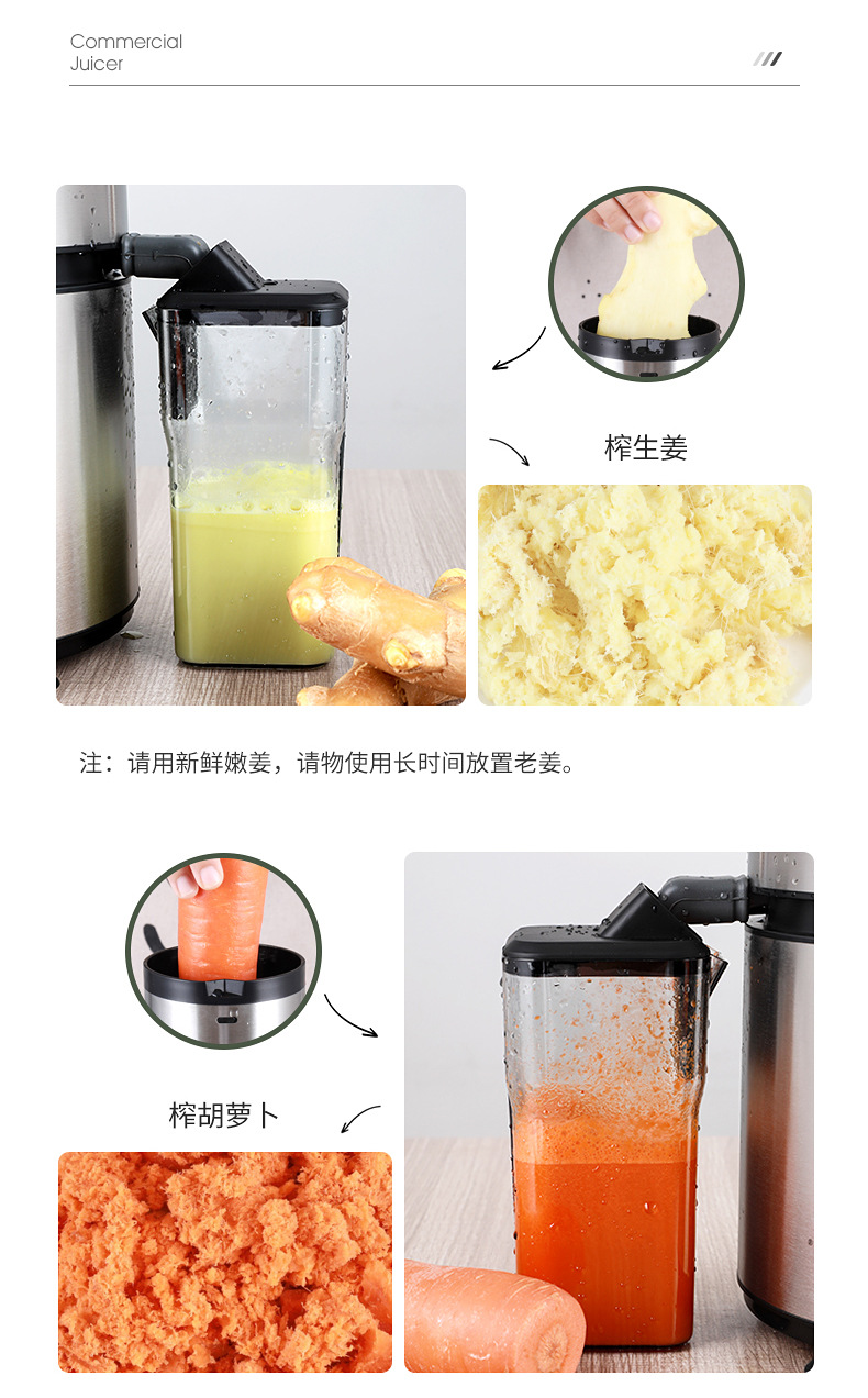 Fruit juicer, fully automatic, large-capacity, commercial