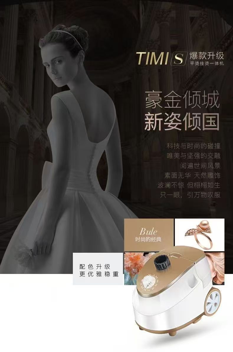 Steam iron household, vertical garment steamer