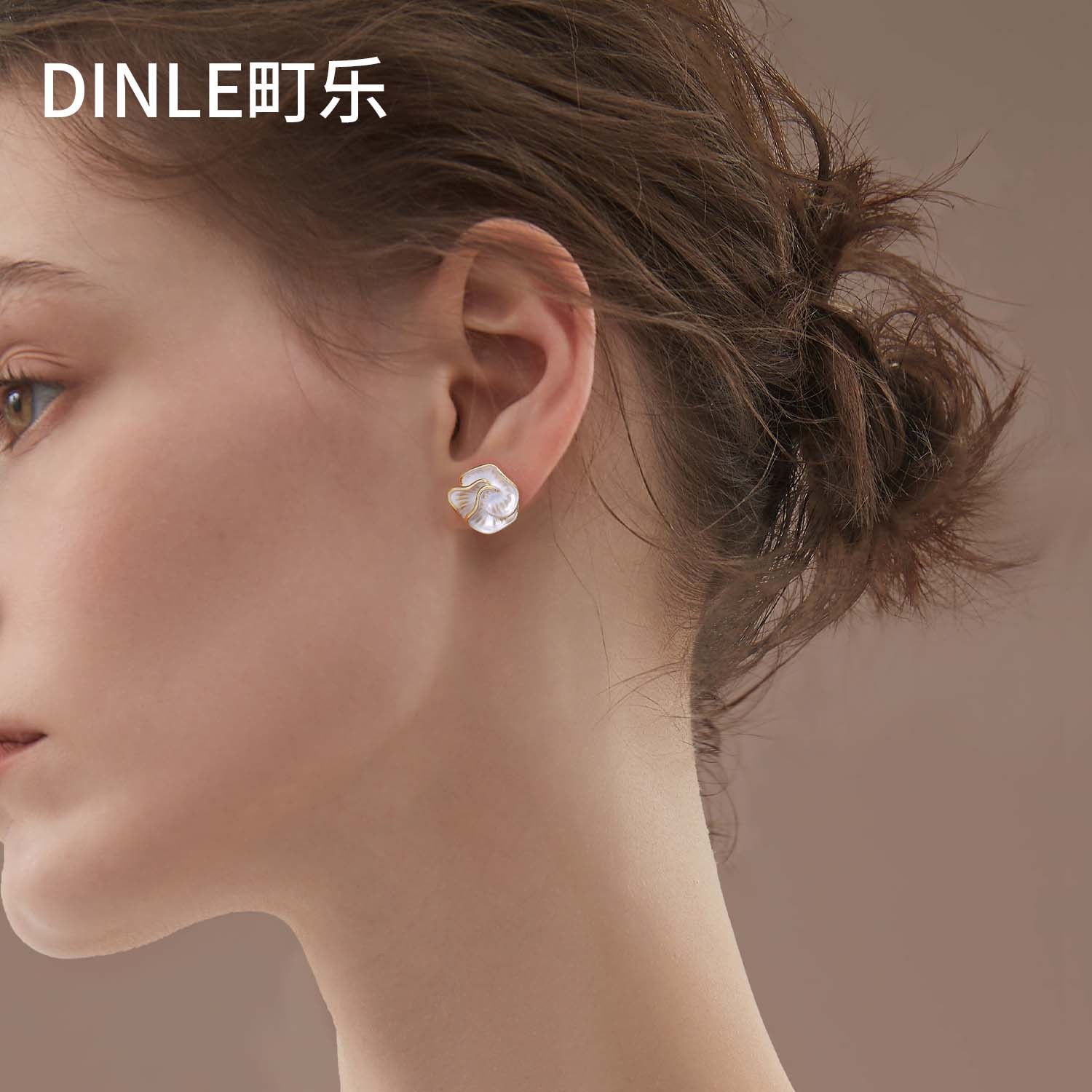 S925 Silberohrringe mit Kamelie, elegant und vielseitig