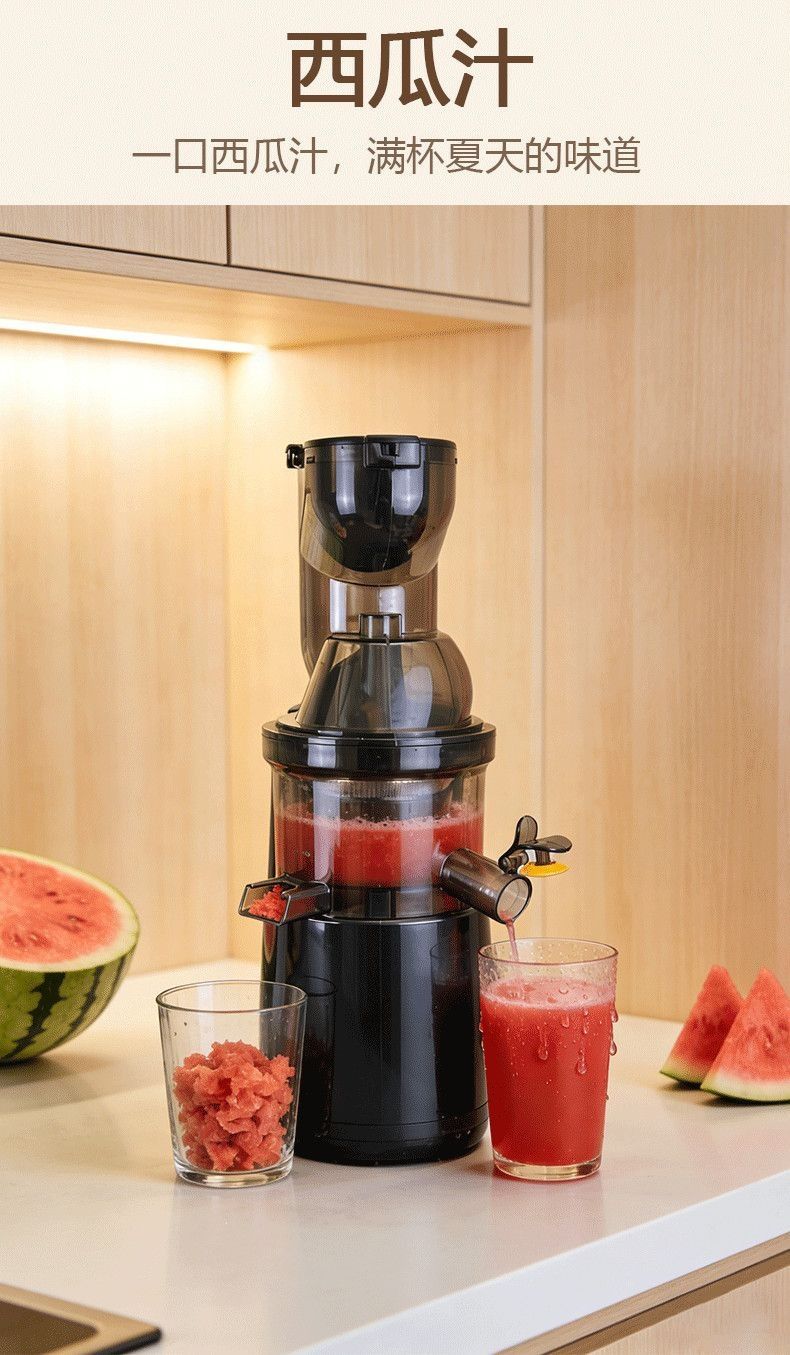 Automatic Cold Press Juicer Wide Feed Chute