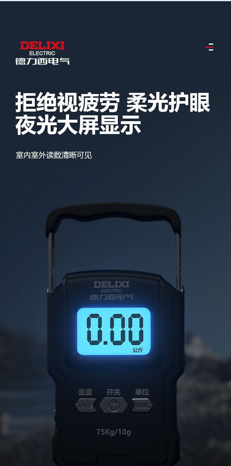 Delixi portable electronic scale