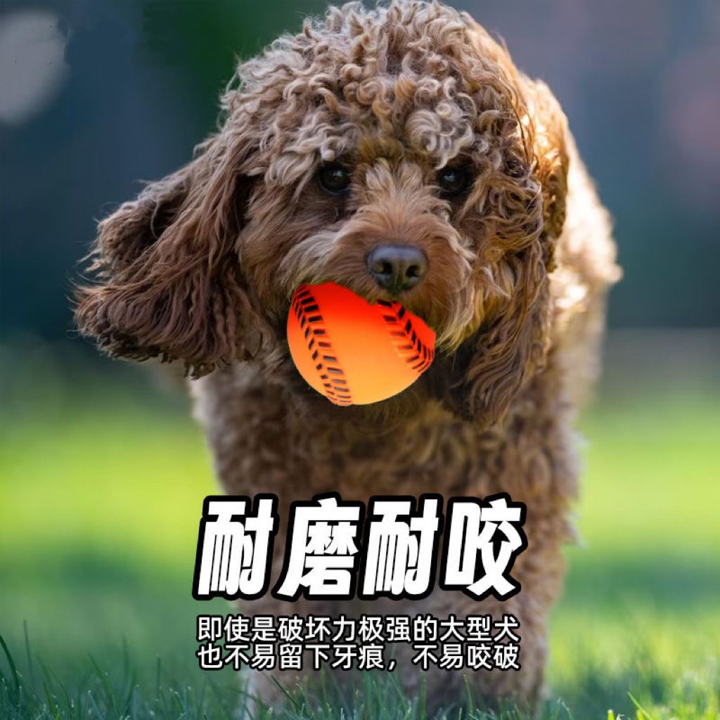Hundespielzeug Vinyl-Baseball mit Quietscher