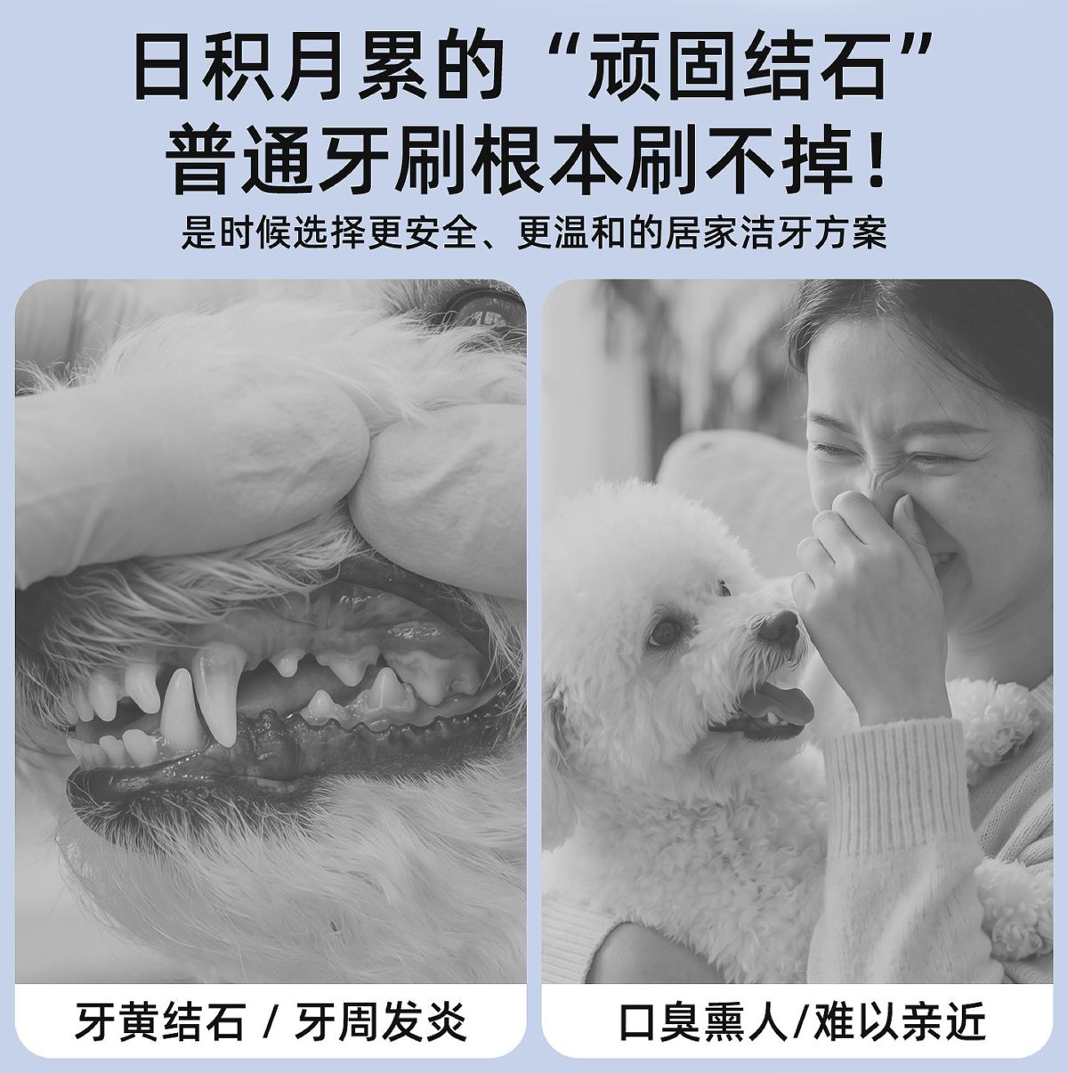 LED ultrasonic dog teeth cleaner for senior and small dogs