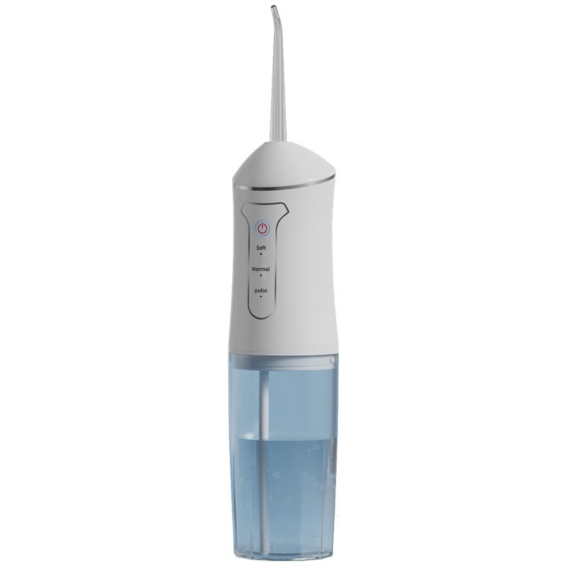 Electric dental cleaner, portable oral irrigator