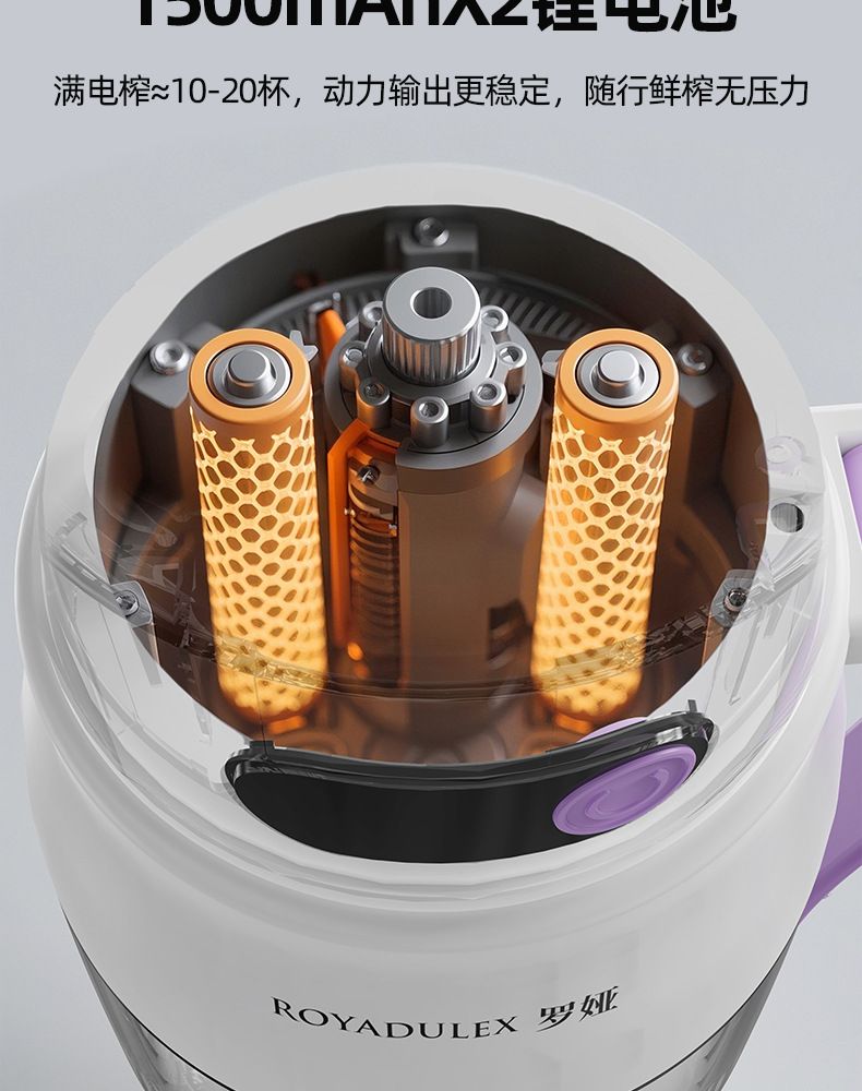 Fruit juicer, portable, large capacity
