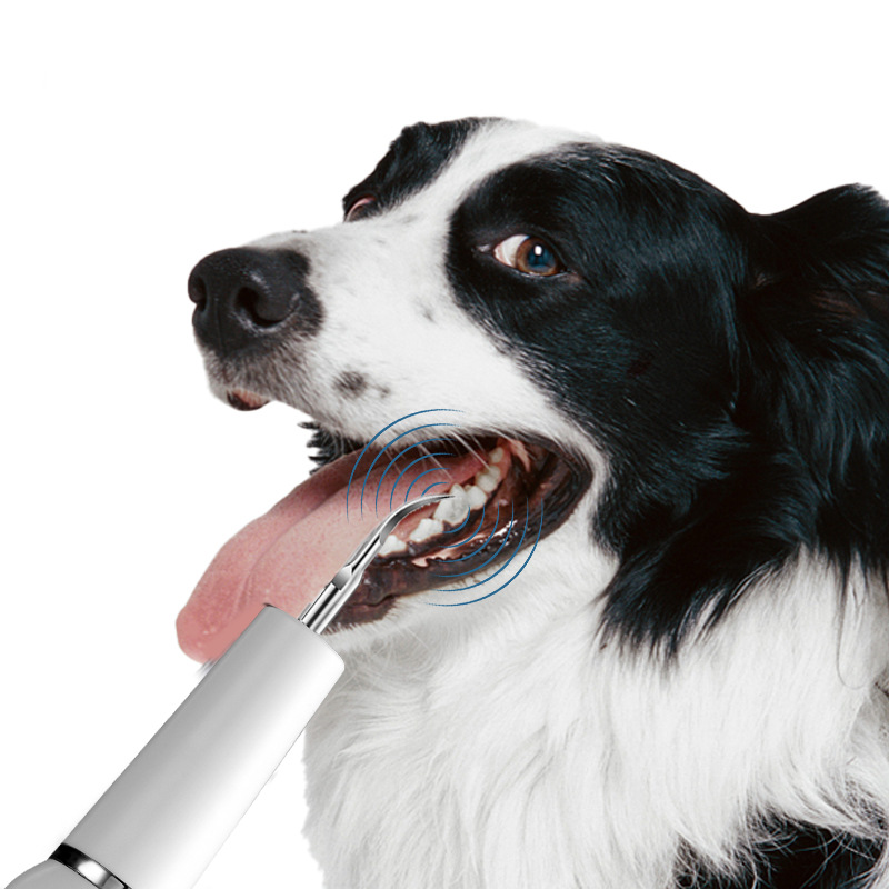 Zahnsteinentferner für Hunde, Ultraschall-Zahnreiniger für Haustiere