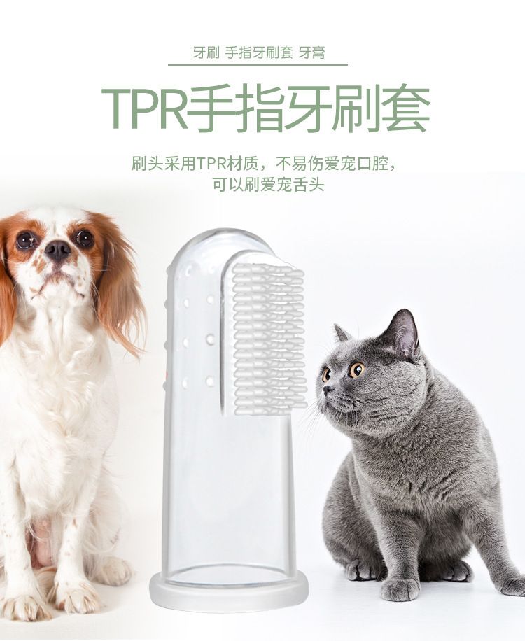 Pet toothpaste and toothbrush set for cats and dogs