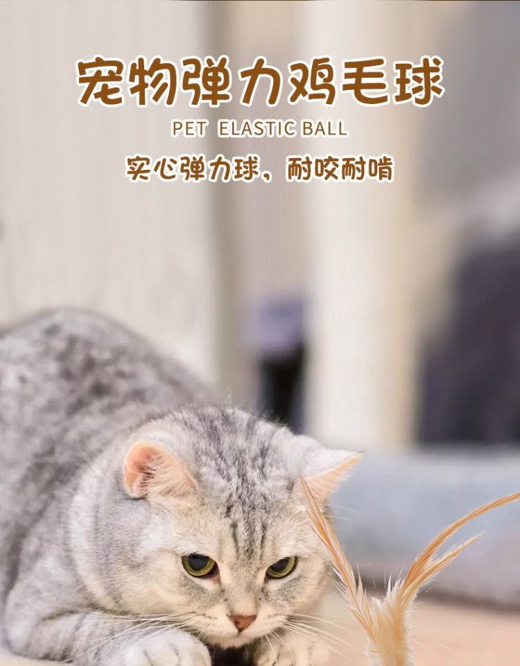 猫玩具弹力球自嗨解闷逗猫棒新款运动球带羽毛猫消耗体力用品