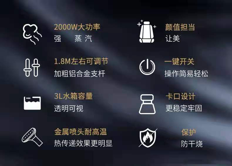 Vertical Garment Steamer for Commercial and Home Use