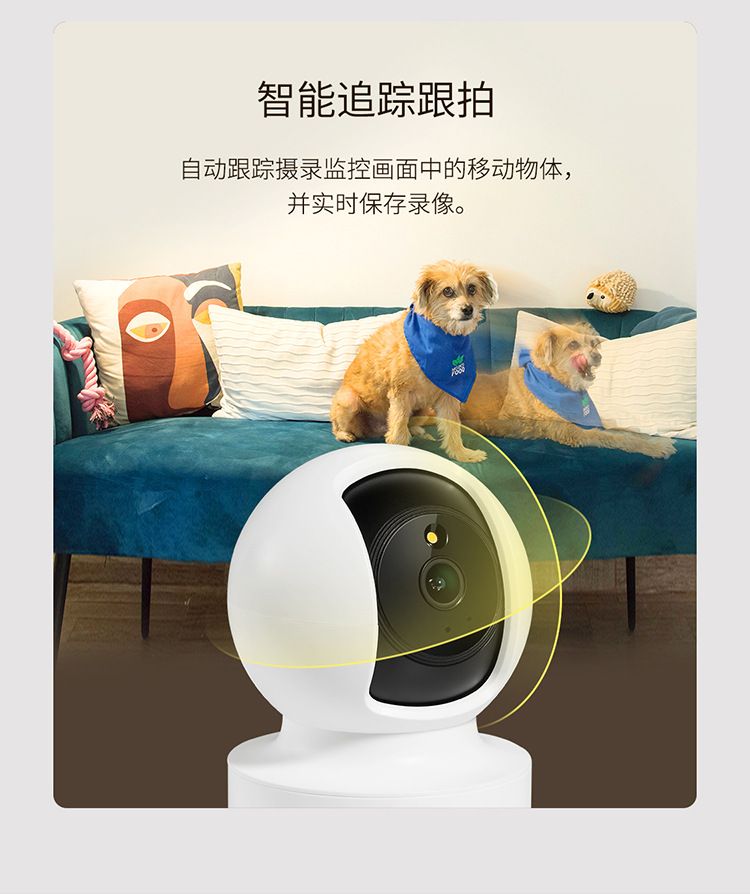 TP-LINK IPC45CL Kamera 5MP Nachtsicht