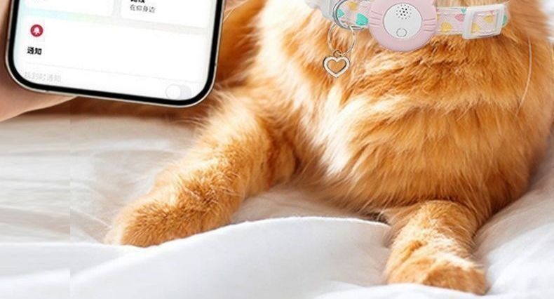 Haustier-GPS-Tracker, Katzen und Hunde, Globalnavigation