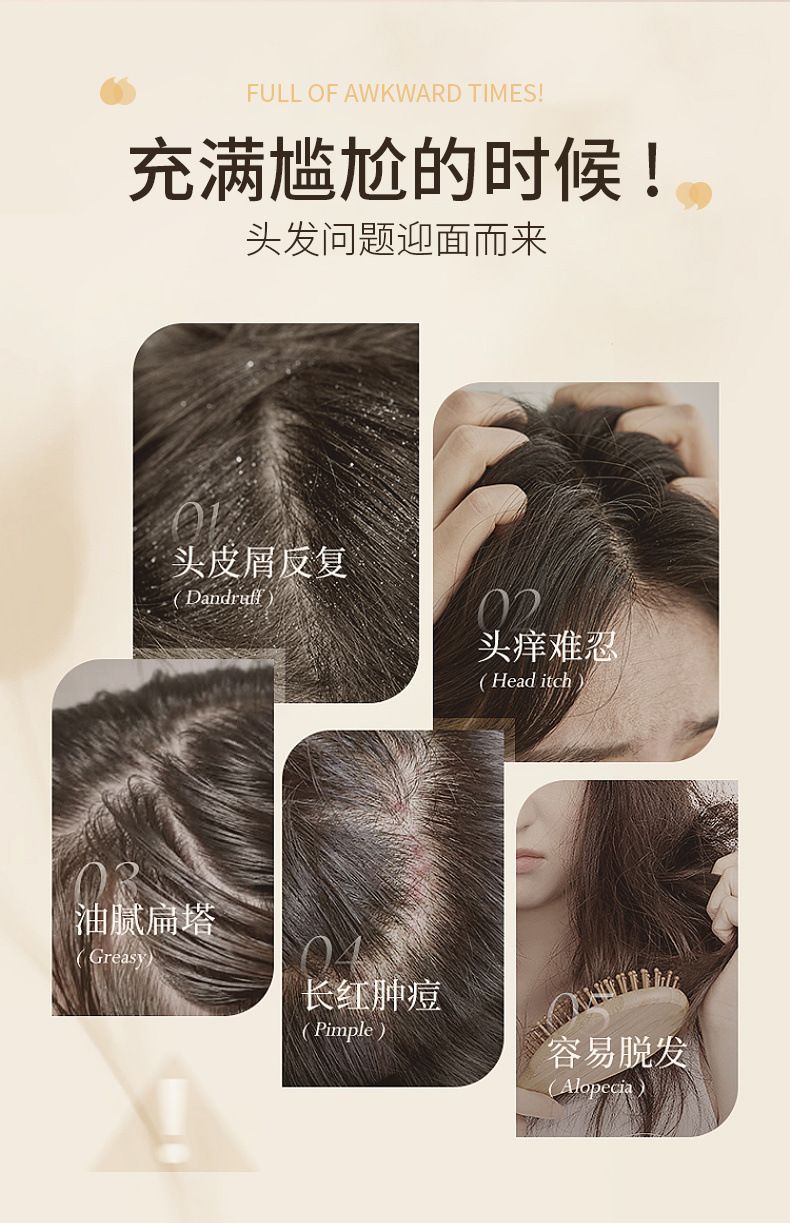Kamelie Shampoo, silikonfrei, Aminosäure, Ölkontrolle