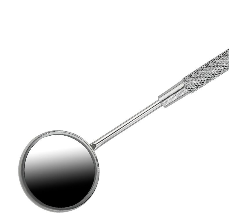 Dental care kit, stainless steel, 6-piece