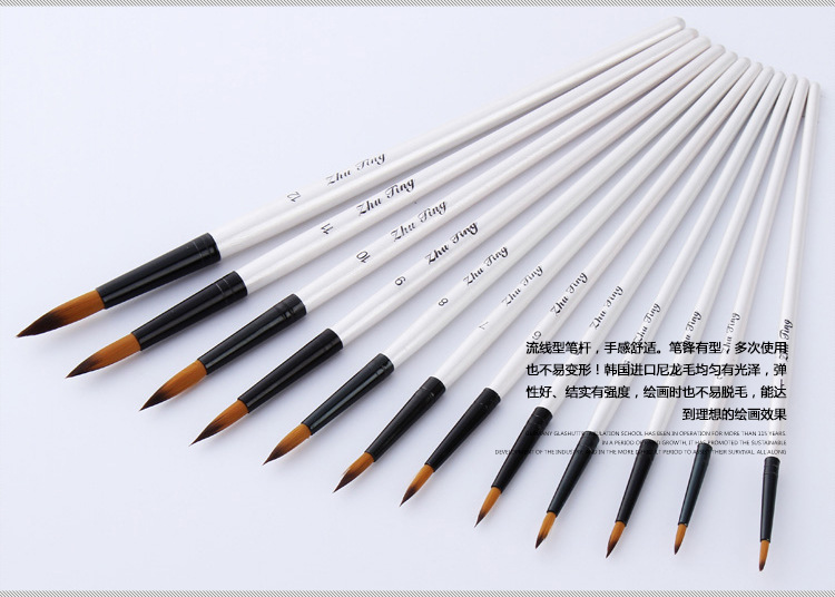 12-teiliger Aquarellpinsel-Set mit spitzer Spitze