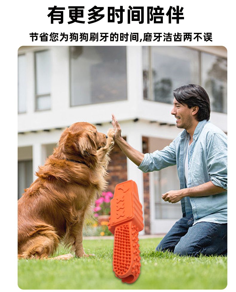 Üreticiye özel doğrudan satış evcil hayvan oyuncakları ısırmaya dayanıklı büyük köpek kıskaç çubuğu testere tipi hediye kıskaç doğal kauçuk çiğneme