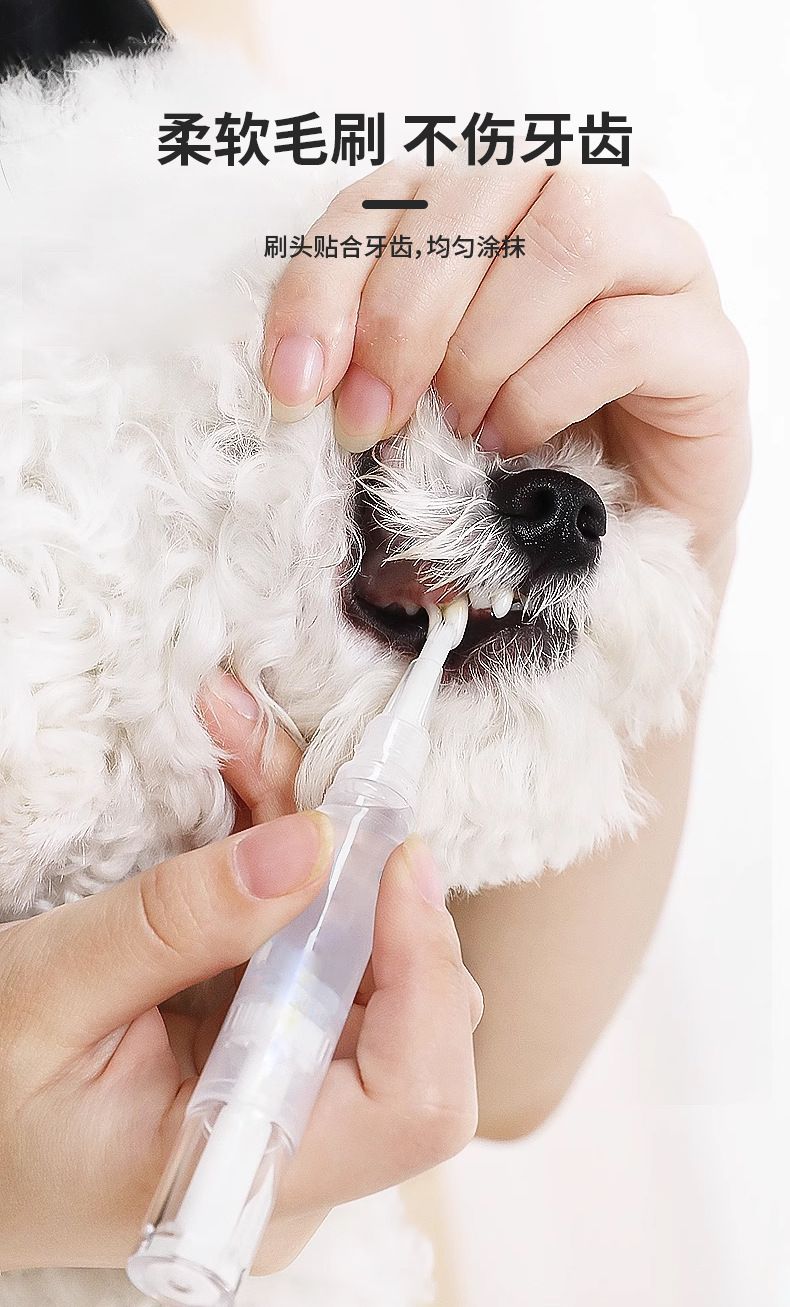 Köpek kedi diş taşı temizleme jeli aracı