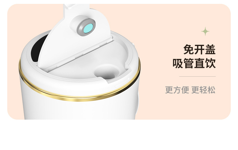 Portable mini electric fruit juicer and smoothie blender