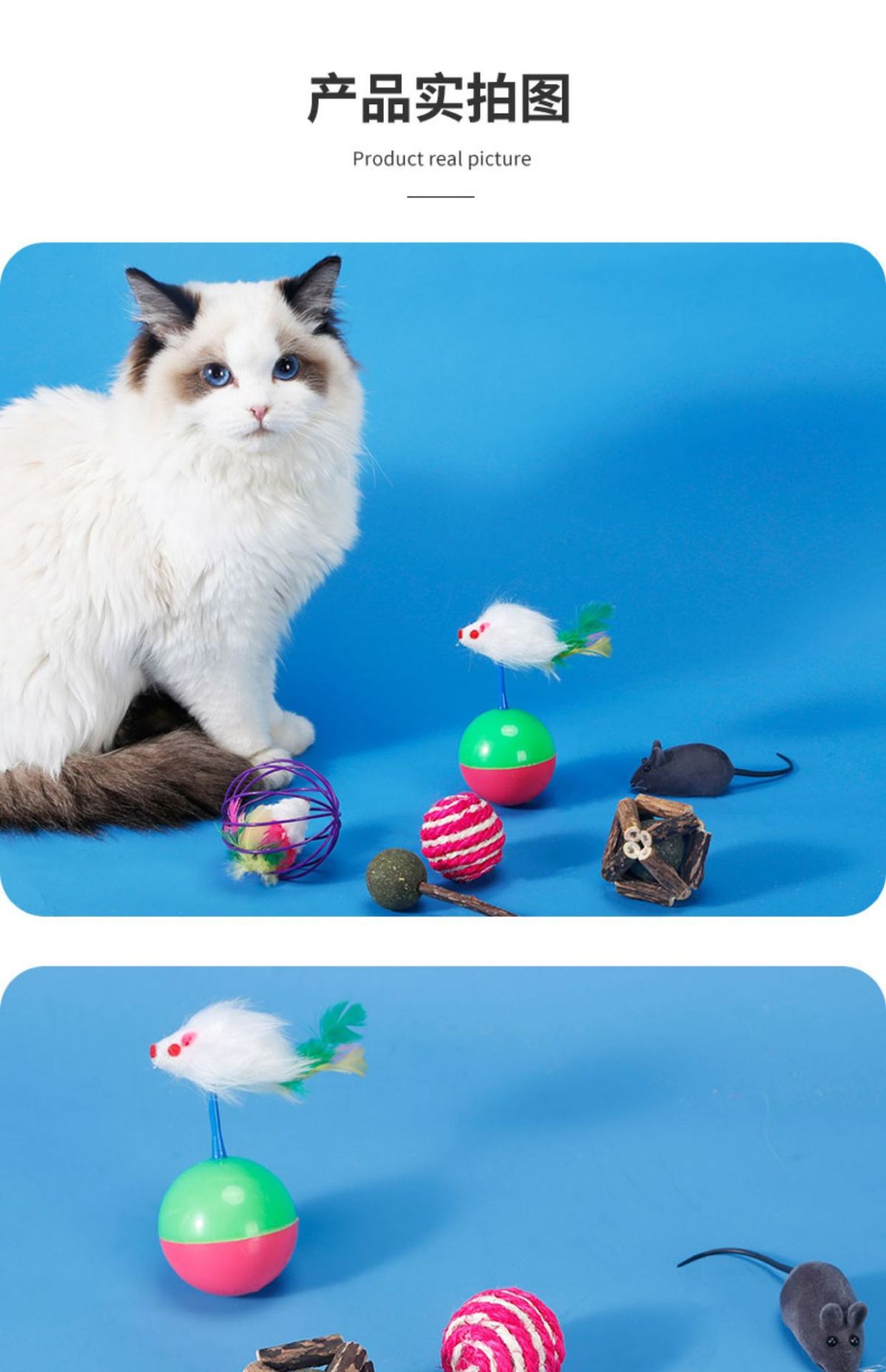 逗猫棒小猫玩具逗猫咪用品大全自嗨耐咬长杆逗猫棒神器羽毛猫抓板