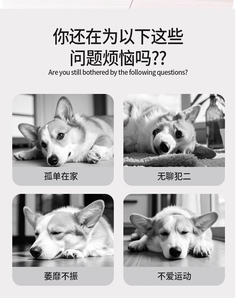 狗狗拖鞋造型啃咬玩具磨牙咬绳宠物自嗨解闷互动耐咬拖鞋玩具批发