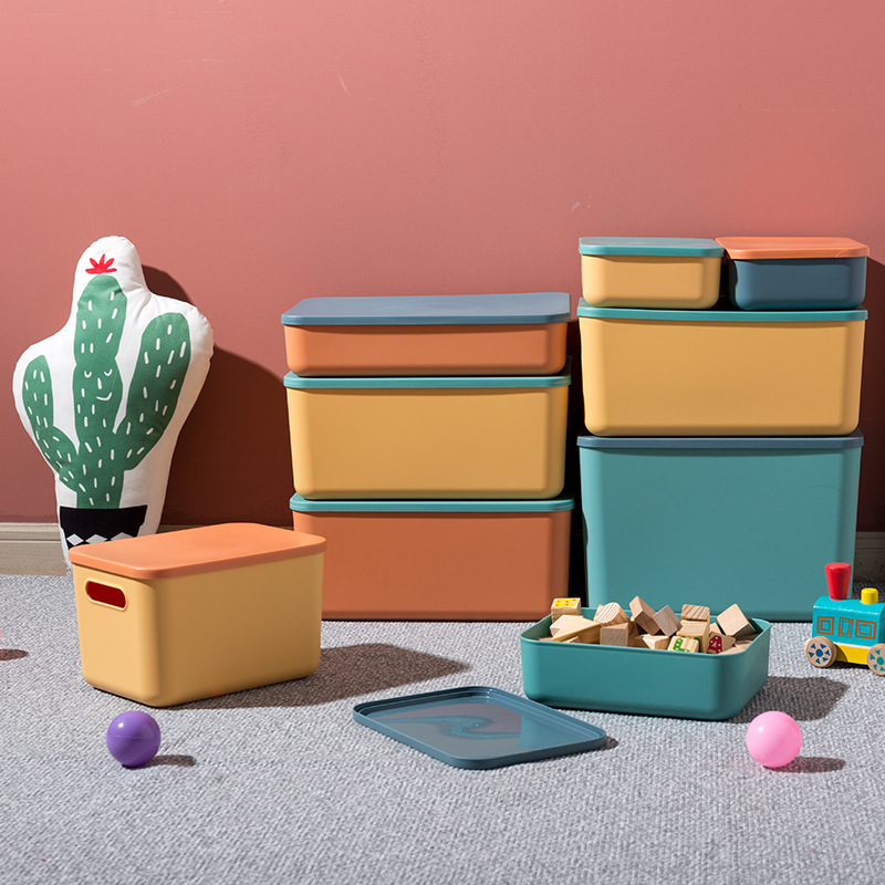 Plastic Storage Box, Large Capacity