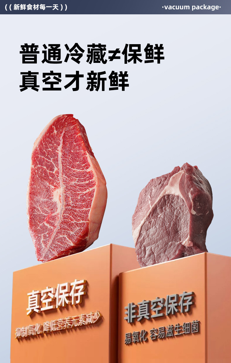 Stainless steel vacuum sealer, wet and dry use