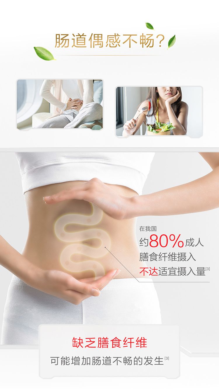 Pflanzliches Proteinpulver für Erwachsene hoher Proteingehalt Geschenkbox