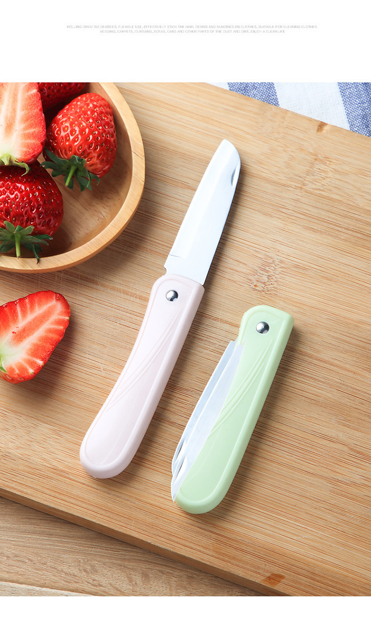 Edelstahl-Klappmesser für Obst tragbar kompakt