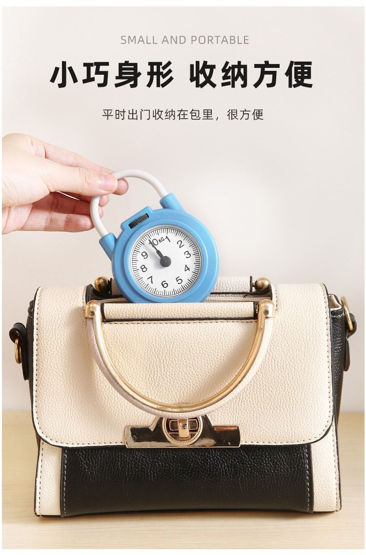 Electronic scale, high-precision, portable with hook