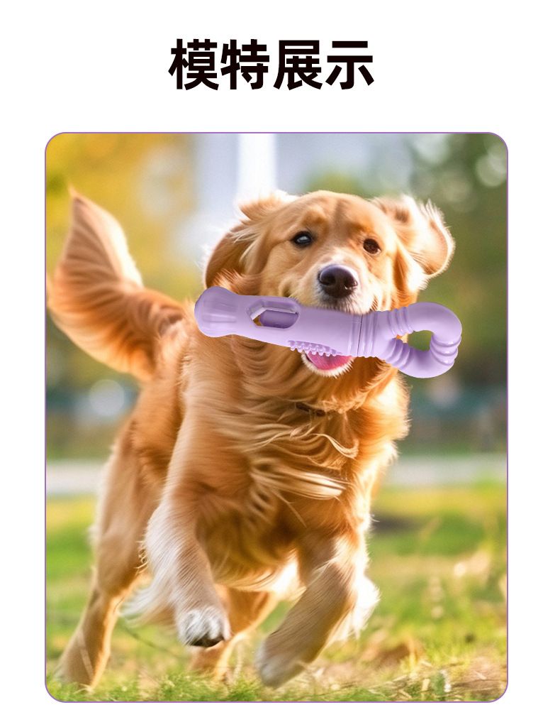 Dönerli kemik şekli köpek oyuncağı beslenme tutuşu