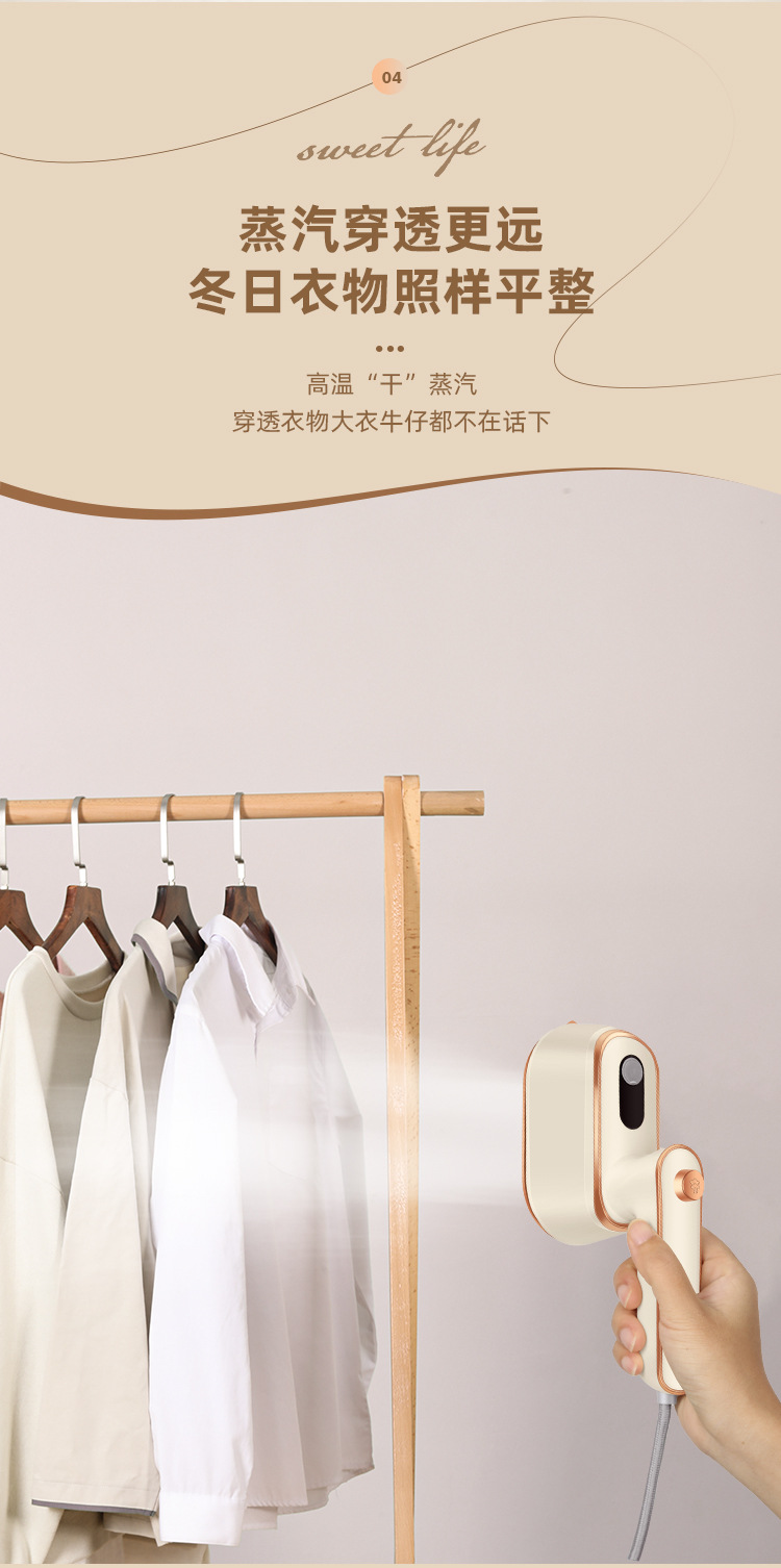 Electric garment steamer, steam brush and iron
