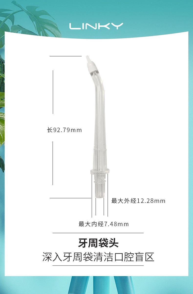 C03 electric oral irrigator with replacement nozzle set and storage bag