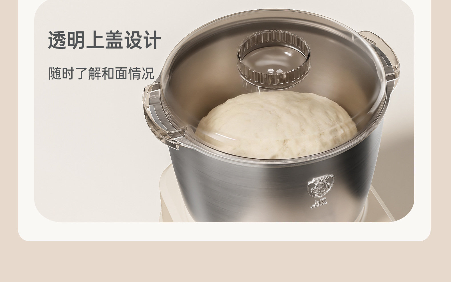Fully automatic dough mixer, stainless steel, 220V, household