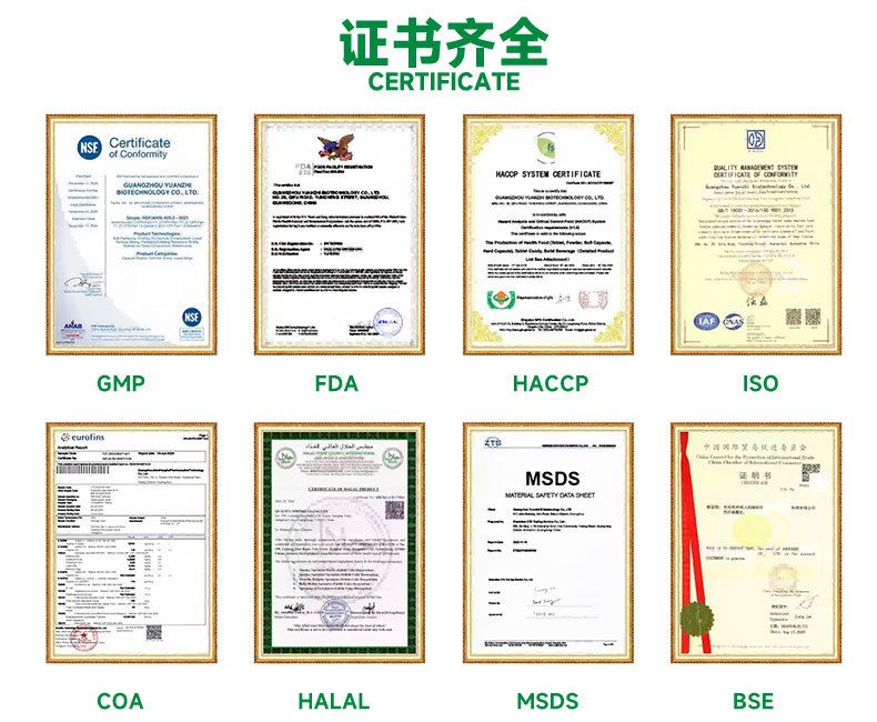 跨境一水肌酸粉运动健身补充粉剂支持定制支持OEM贴牌可代工