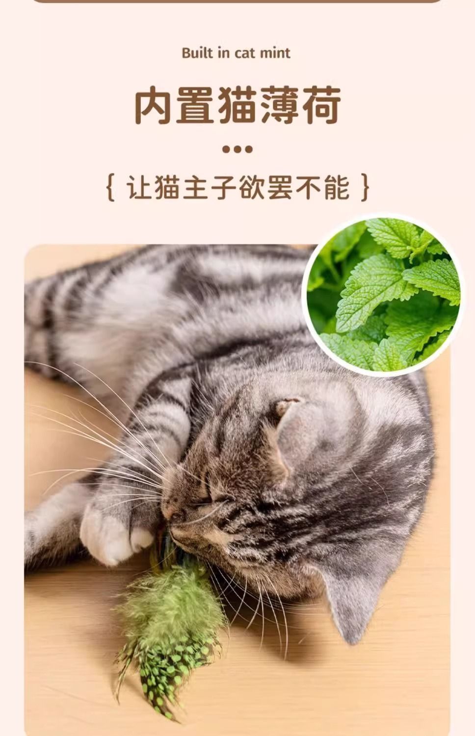 猫玩具仿真小鸟发声自嗨解闷神器逗猫棒消耗体力幼猫玩具猫咪用品