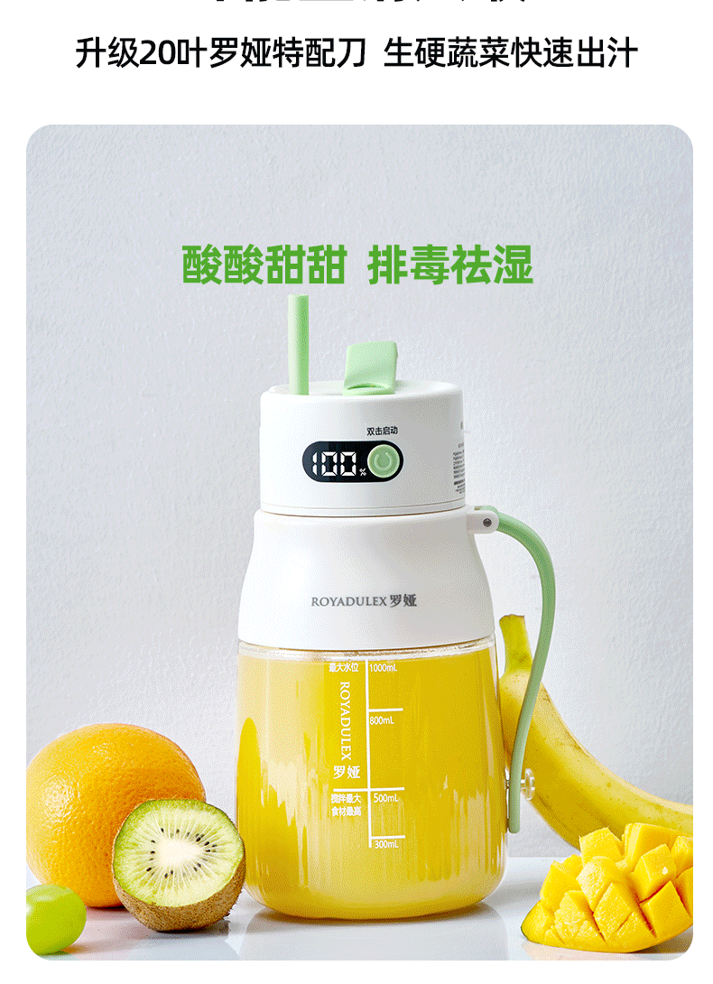 Fruit juicer, portable, large capacity