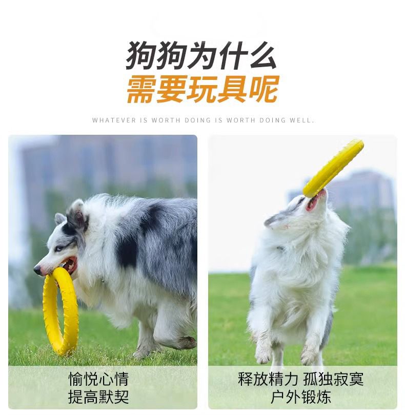 狗狗玩具大型犬互动圆环金毛拉布拉多拉环狗球磨牙耐咬狗解闷玩具