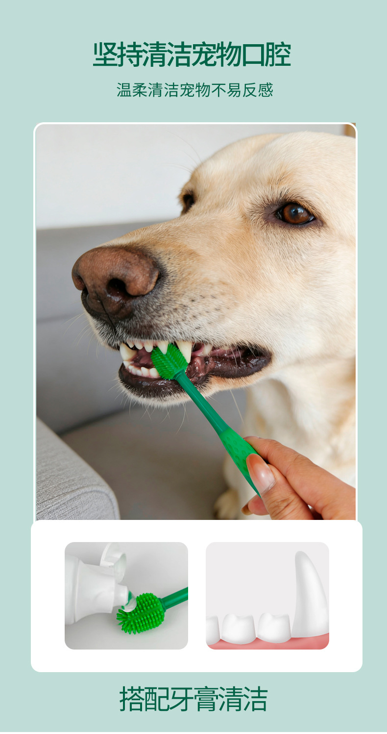 Pet toothbrush set for dogs and cats