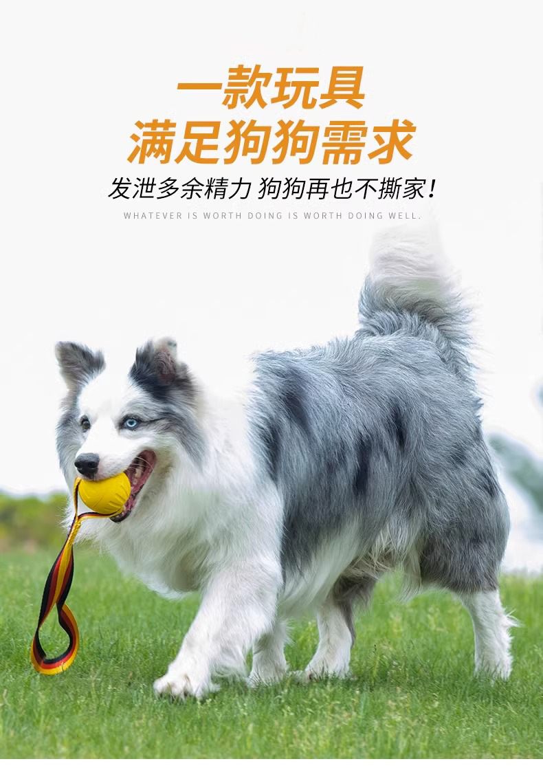 狗狗玩具大型犬互动圆环金毛拉布拉多拉环狗球磨牙耐咬狗解闷玩具